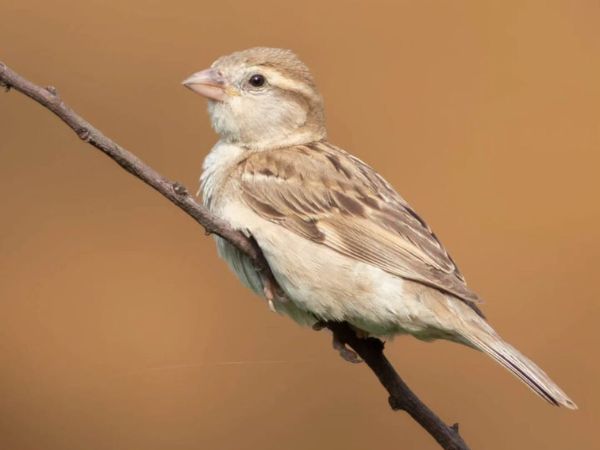 Rajaji National Park