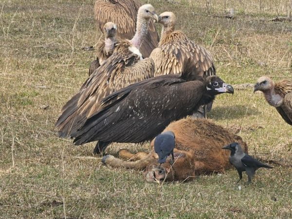 Rajaji National Park