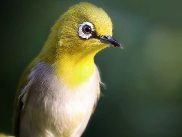 Rajaji National Park