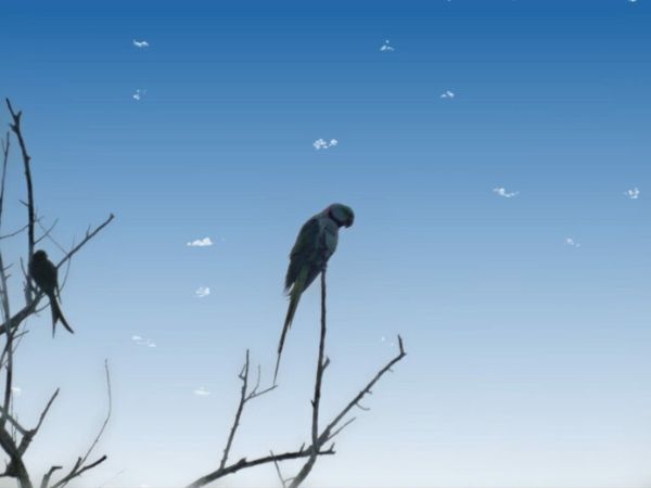 Rajaji National Park