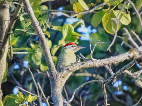 Rajaji National Park