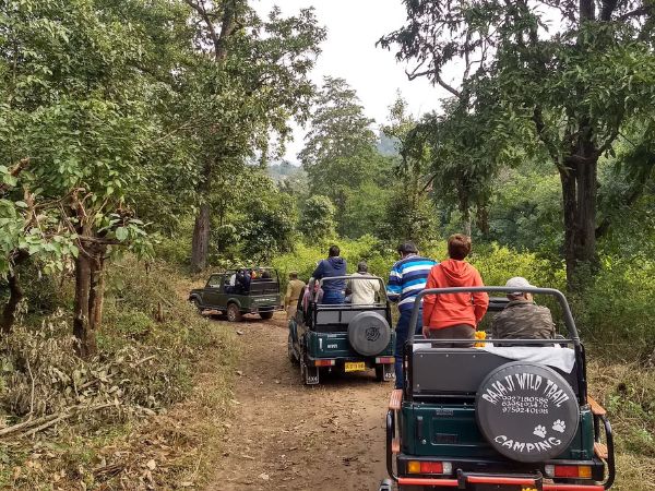 Private Safari Rajaji