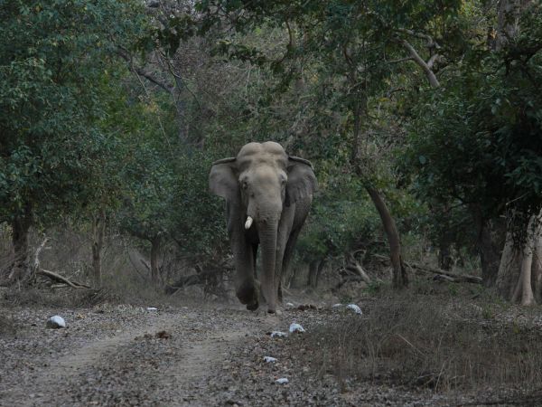 Rajaji National Park