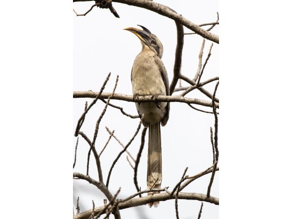 Rajaji National Park