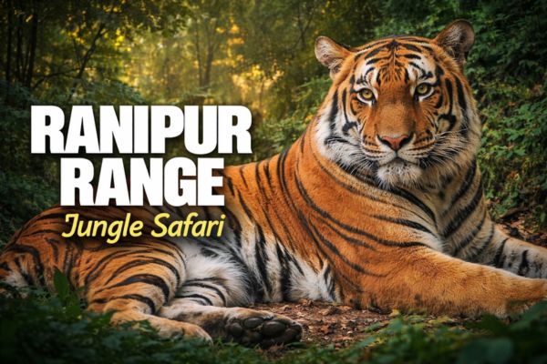 Ranipur Zone Rajaji